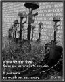 KIA Wall